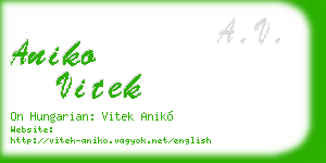 aniko vitek business card